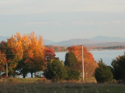 Autumn Morning