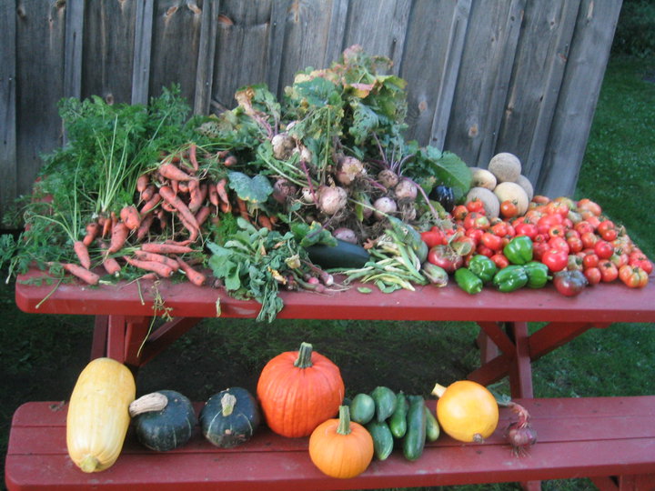 Veggies
